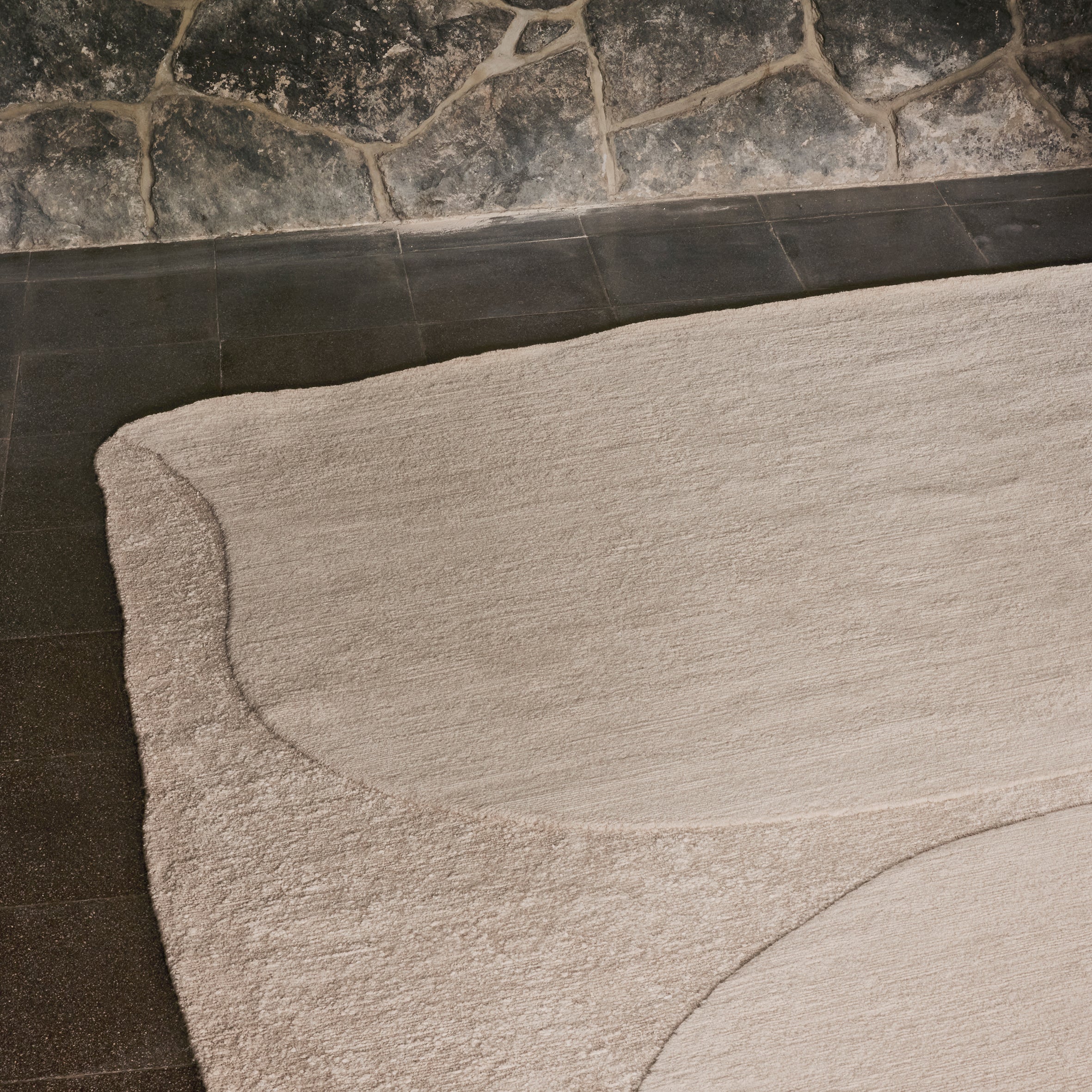 Clay Scan Twins Rug - Image 4