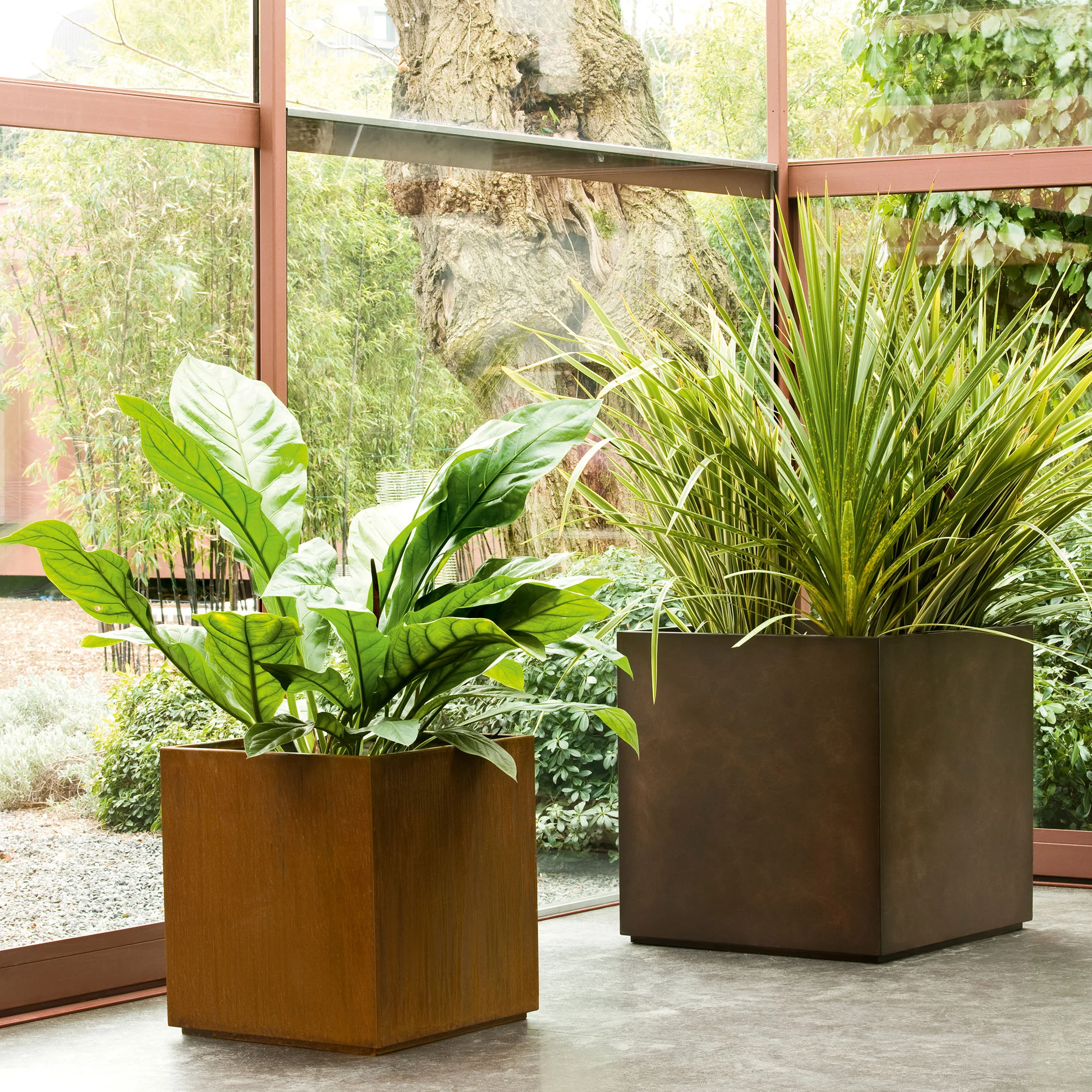 Cube Planters - Image 2