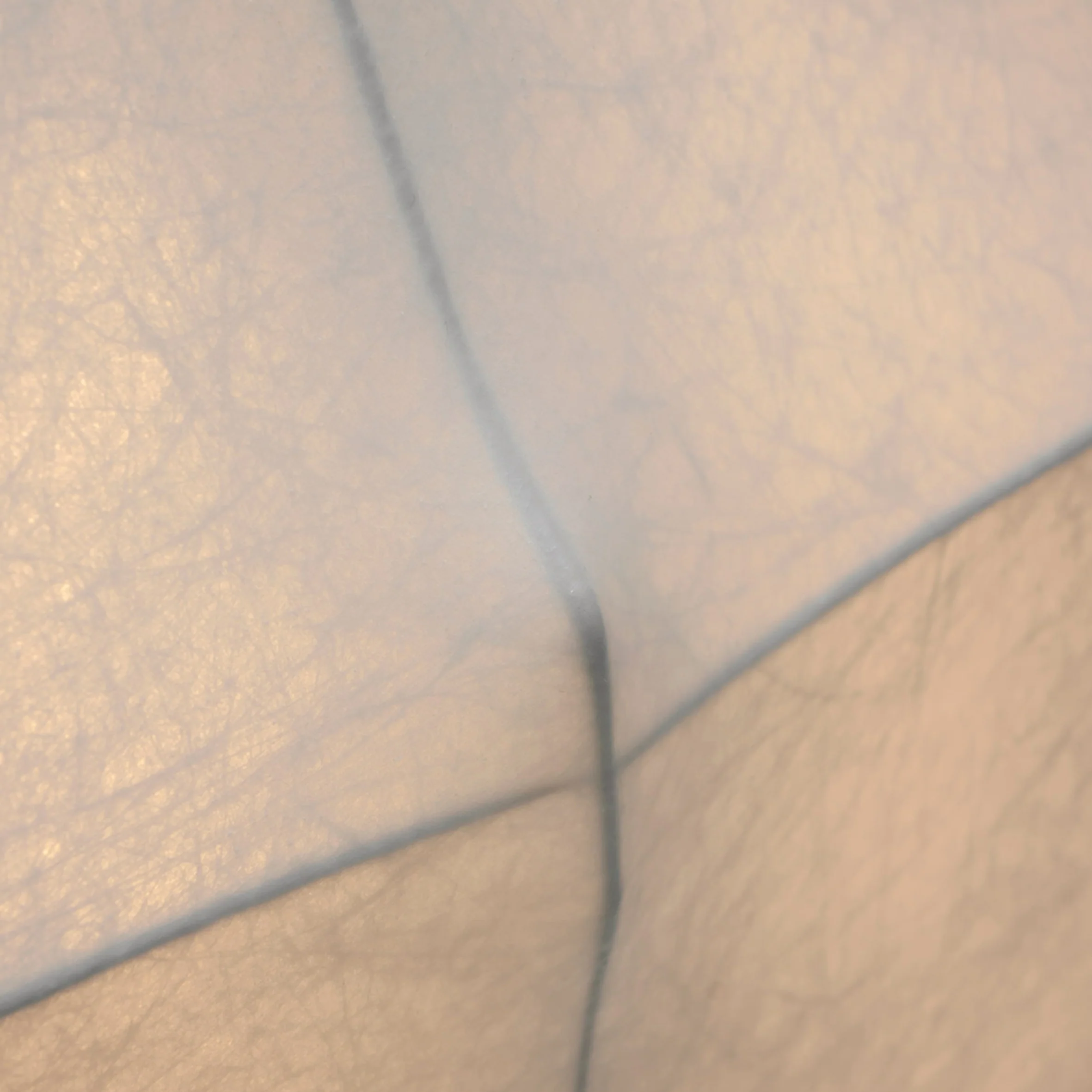 Gunta Floor Lamp - Image 6